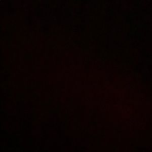 Meet your Posher, Noah